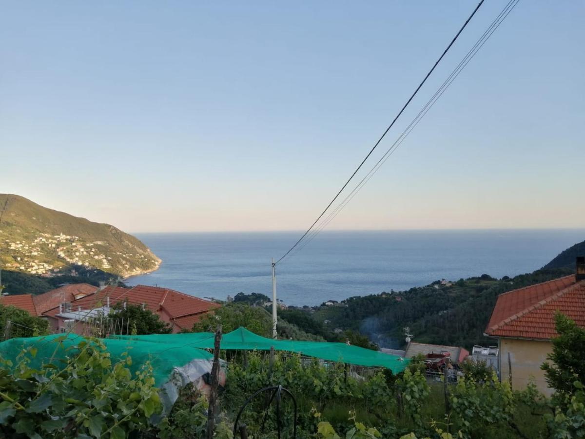 Sentieri Sul Mare Villa Moneglia Dış mekan fotoğraf
